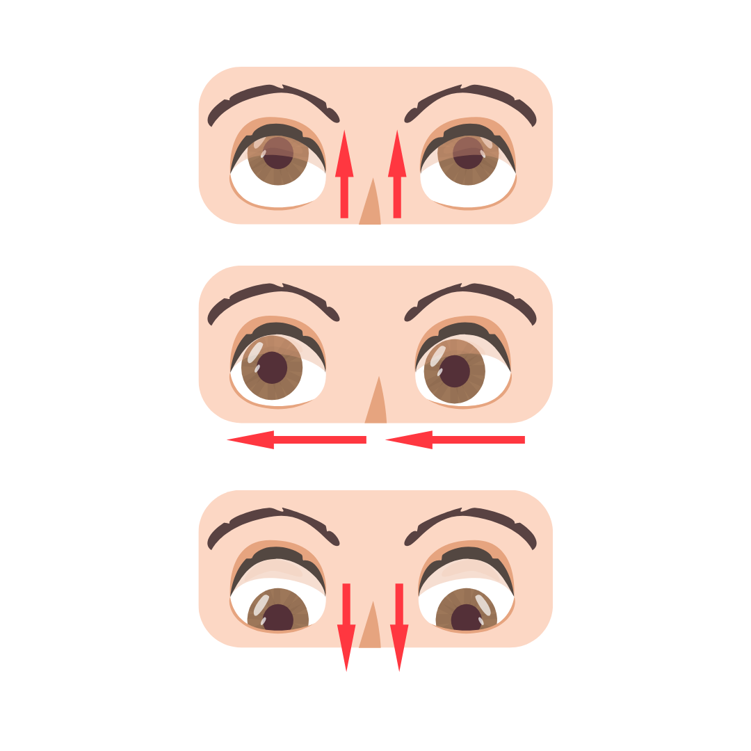 (103): Eye Movements and Rehabilitation