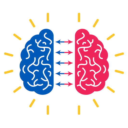 (101): Introduction to Functional Neurology